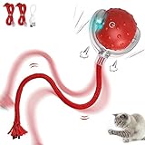 IOKHEIRA Juguetes interactivos para gatos de Interior Juguetes eléctricos para gatos con Cuerda...